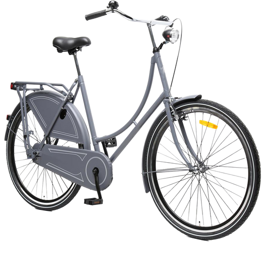 3. ASHEN-GREY CUSTOM WHEELS: ADULT CITY BIKE.